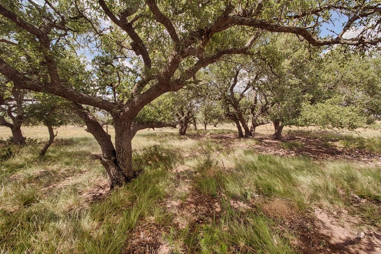 Harper, TX Land For Sale