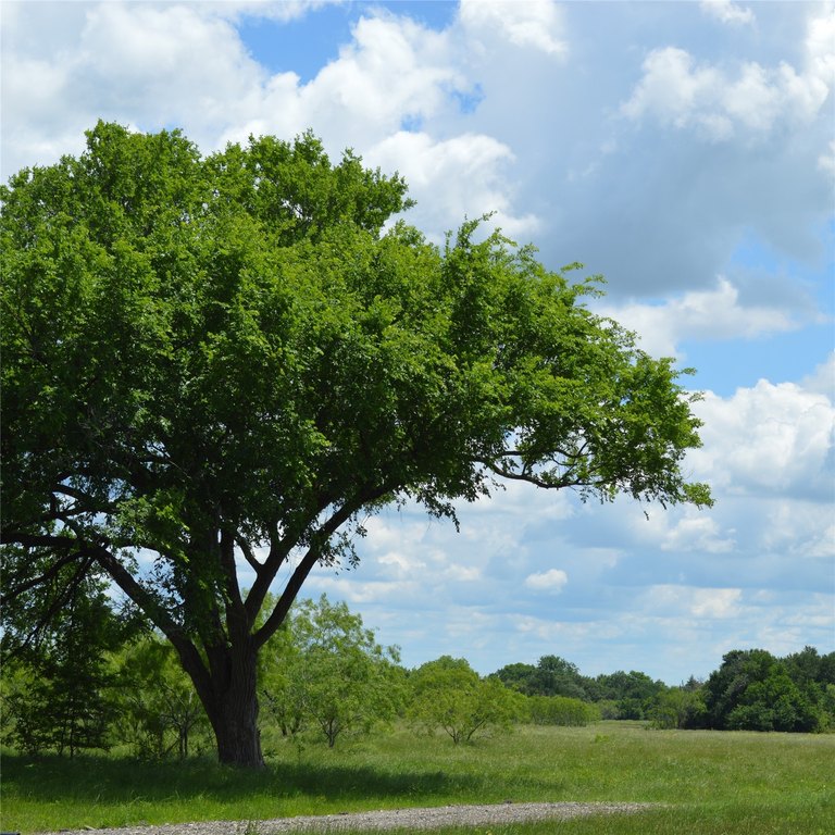 Picture 18