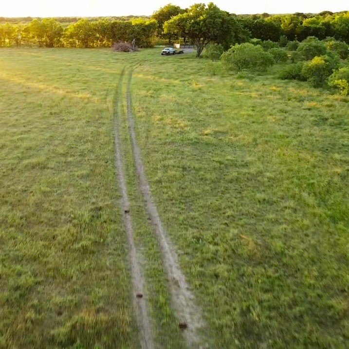 Picture 12