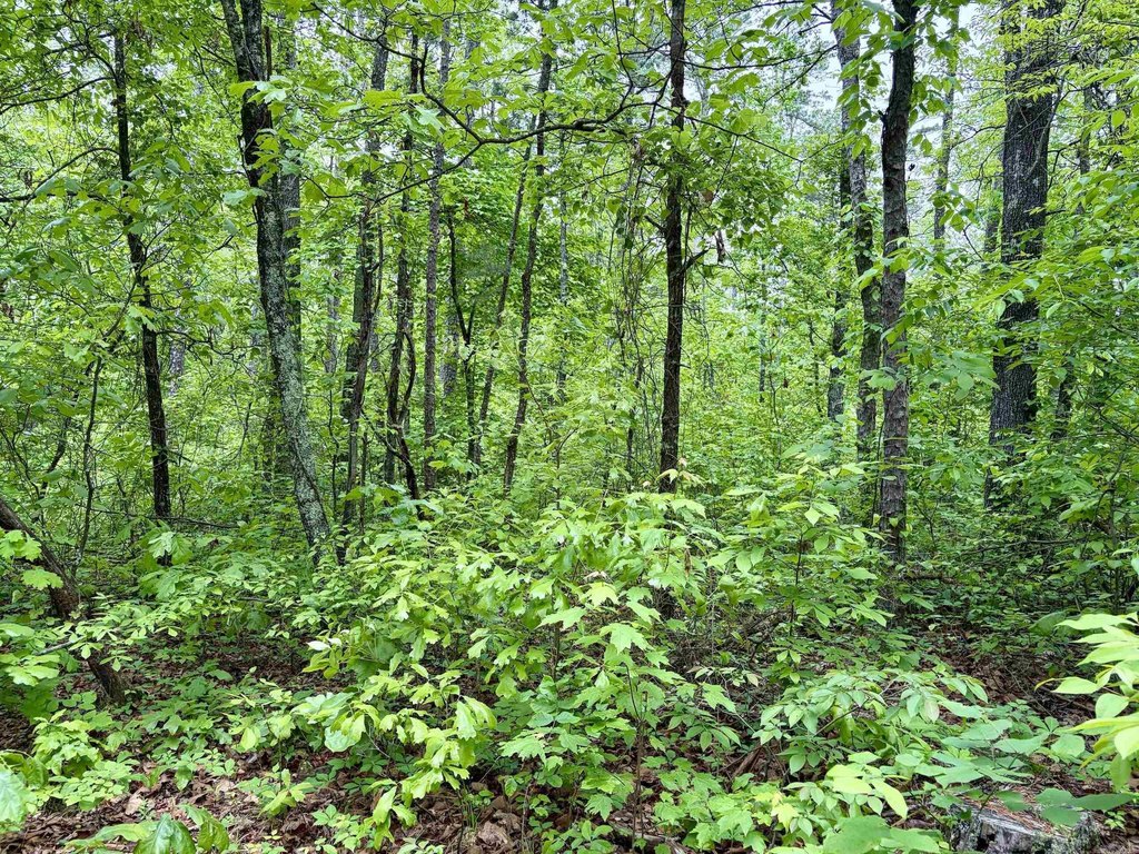 Picture 20