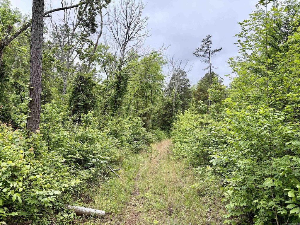 Picture 13