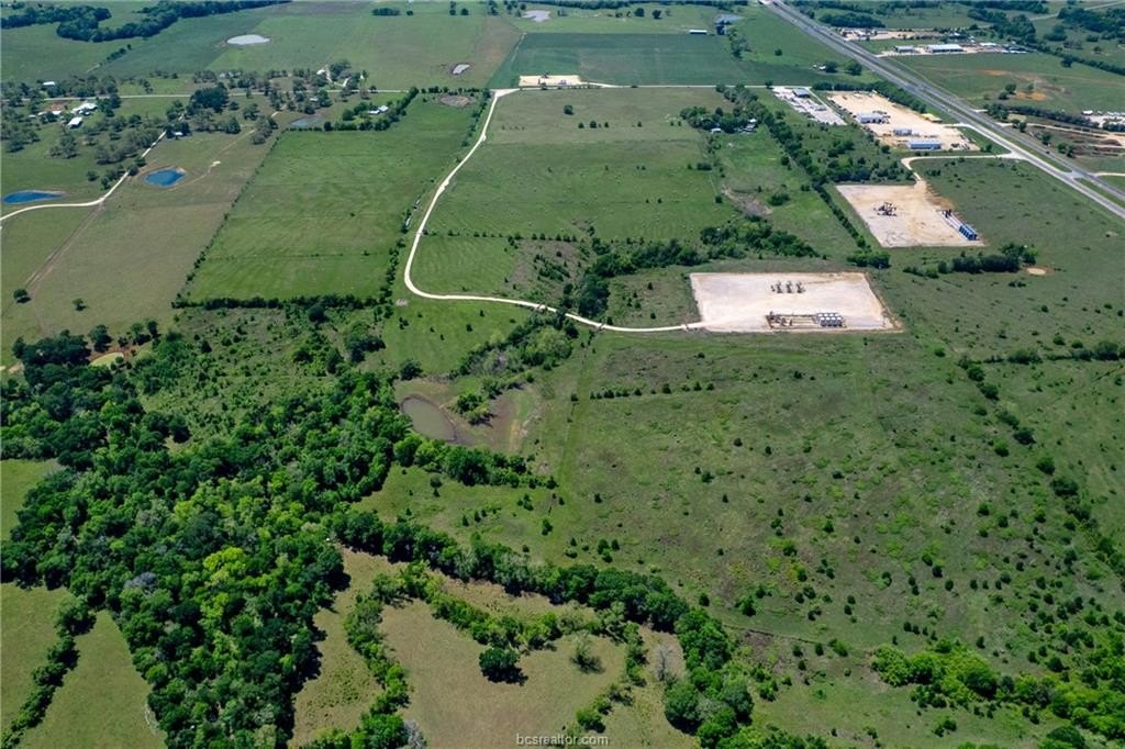 Picture 7