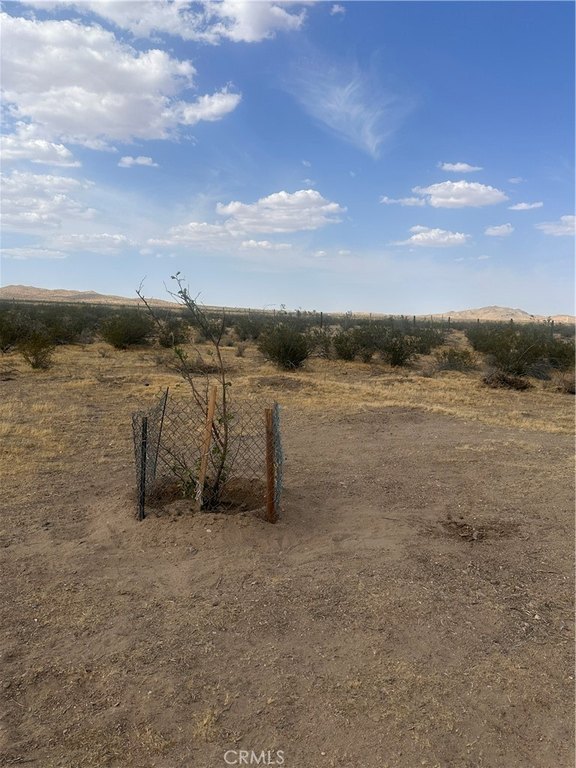 Picture 20