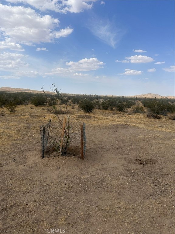 Picture 21