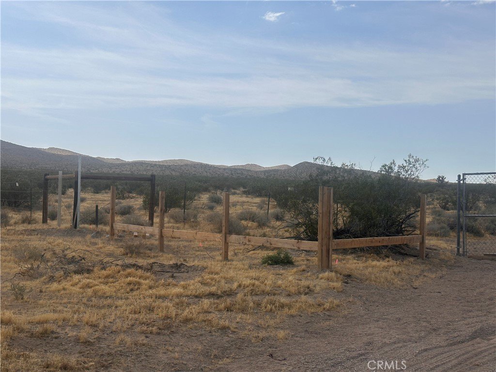 Picture 19
