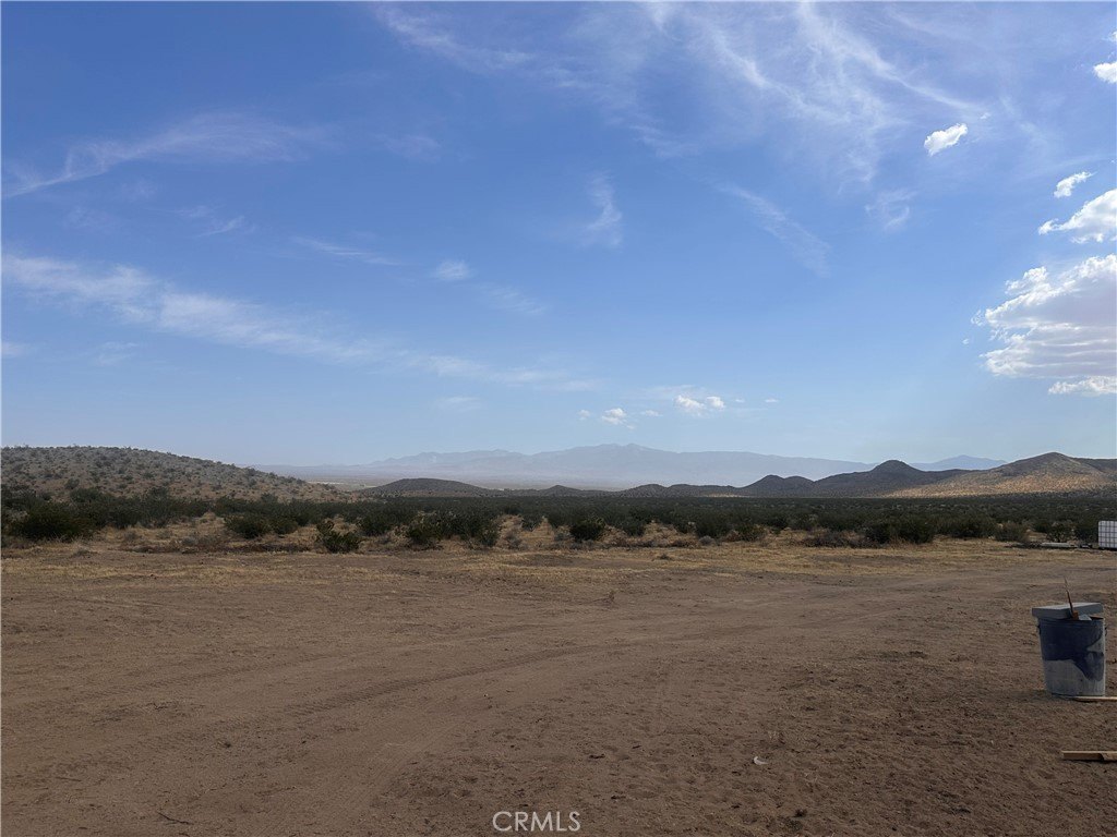 Picture 25