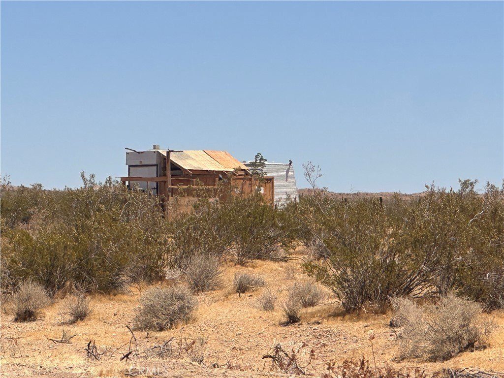Picture 16