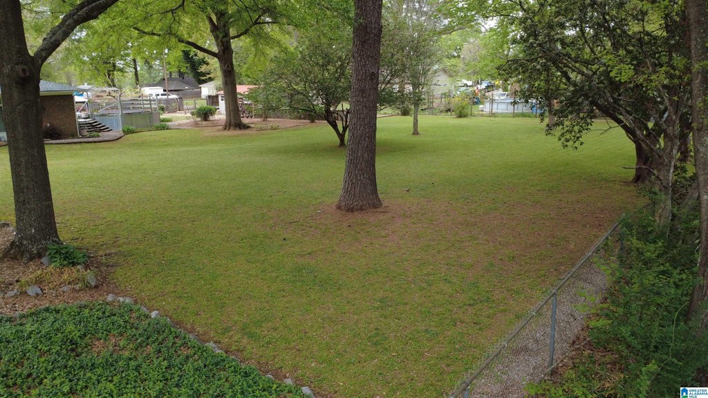 Picture 20