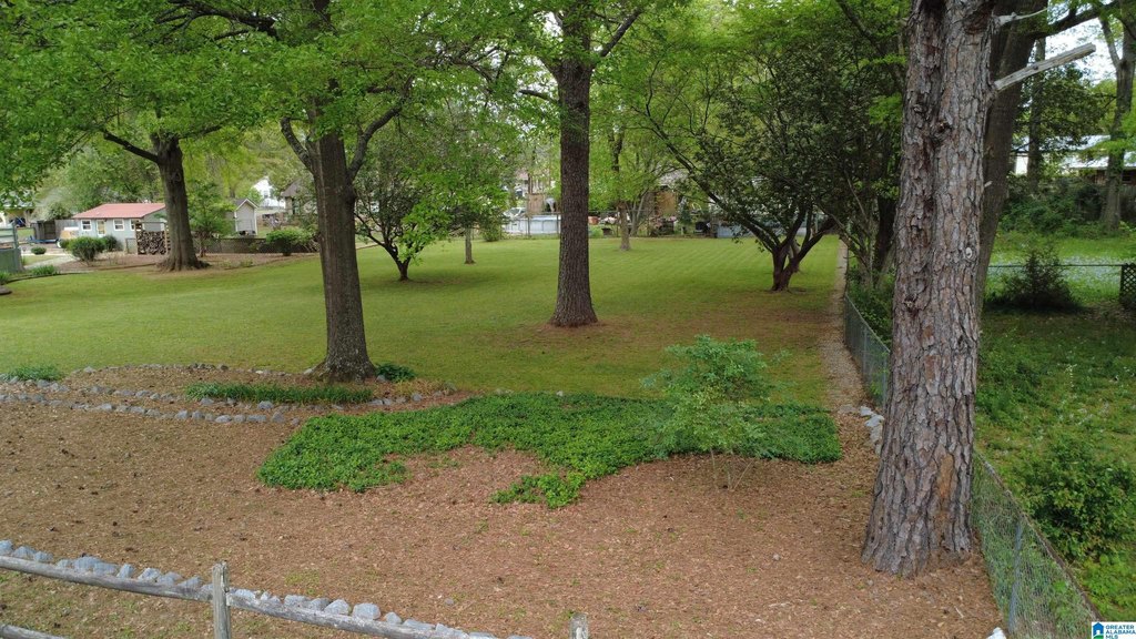 Picture 14