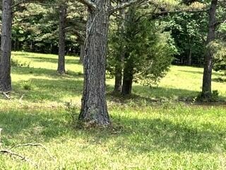 Fremont, MO Land For Sale