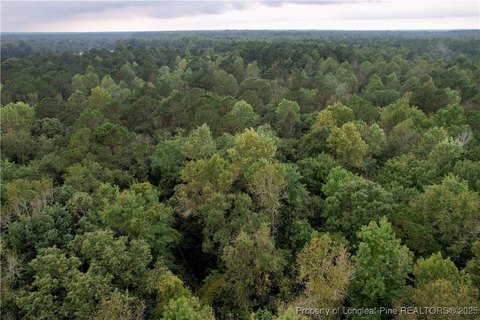 6.62 Acres in Clarkton, NC