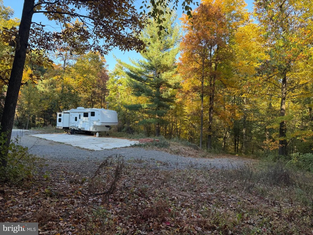 Picture 20