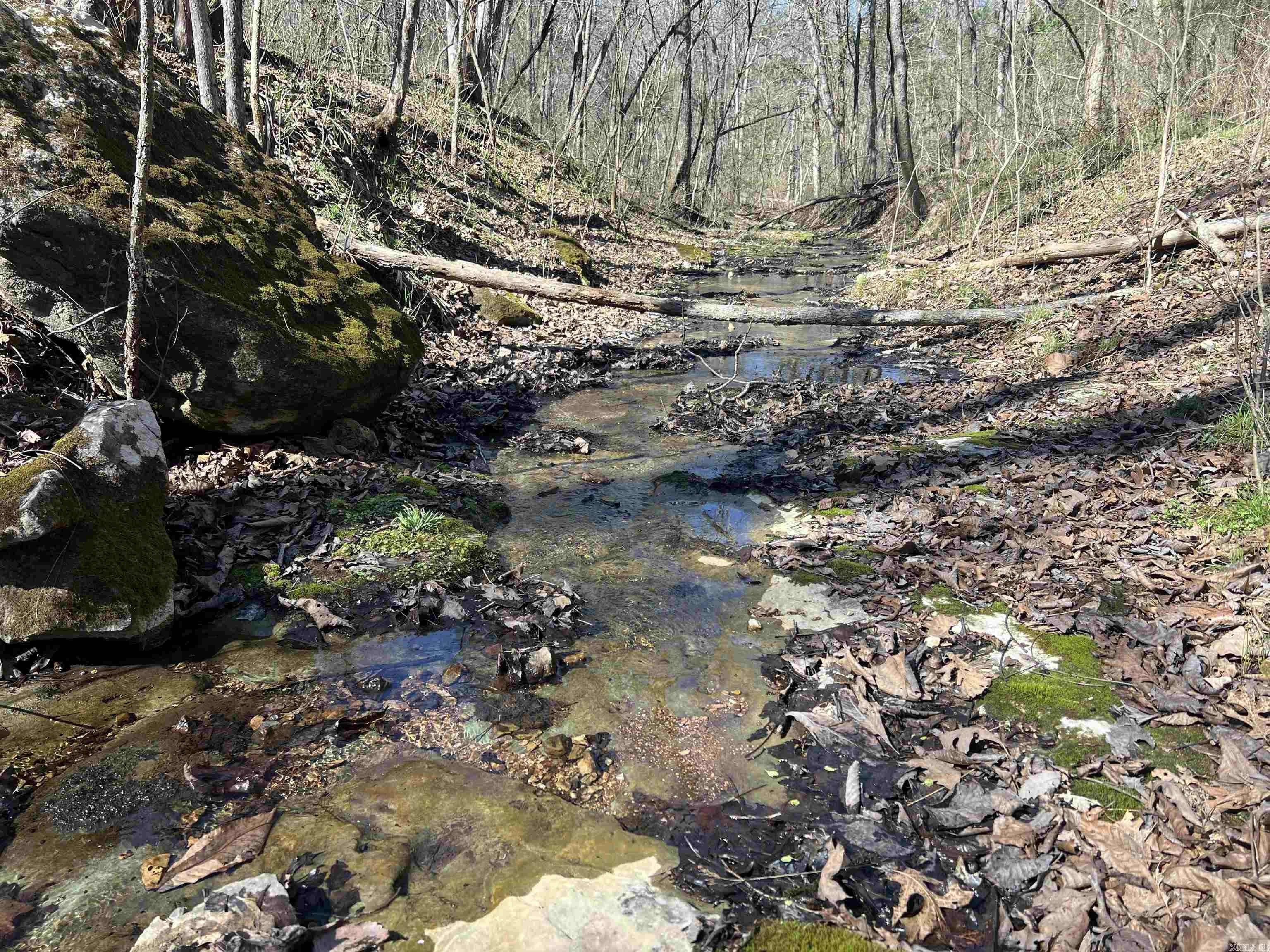 Land Near Buffalo National Park