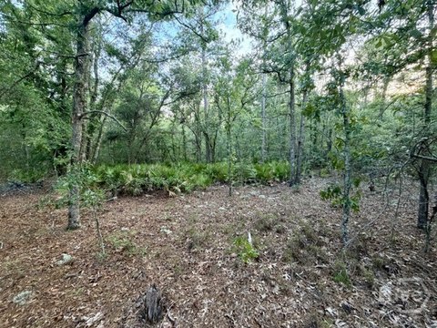 LAND - Claxton, GA