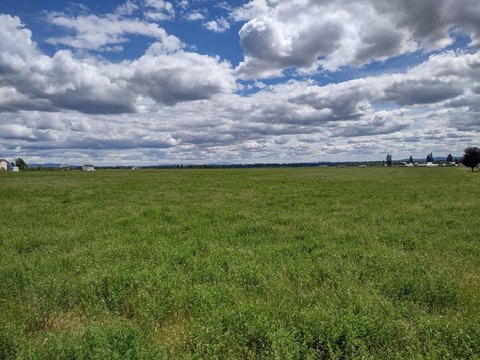 Acreage Building Parcel with Views