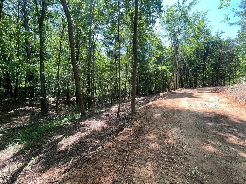 Picture 15