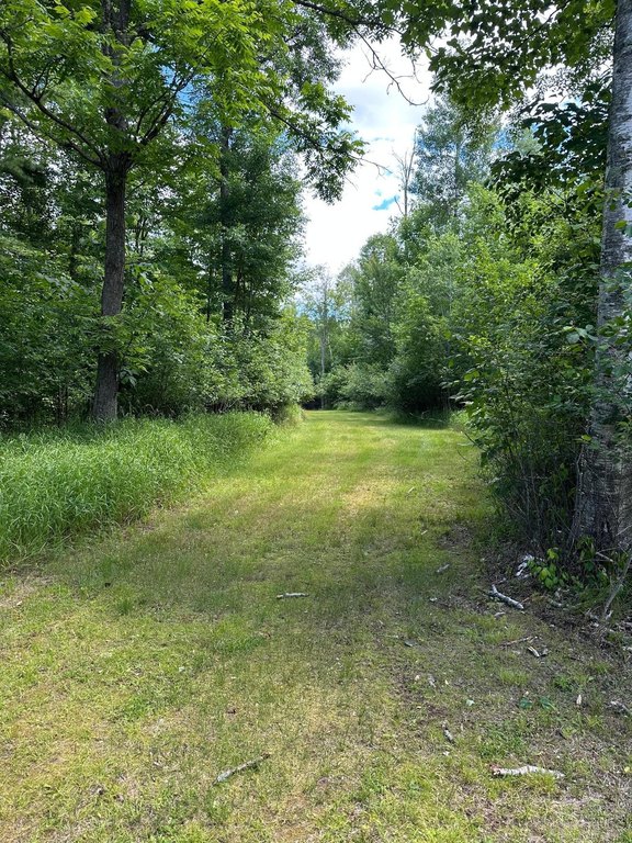 Picture 6