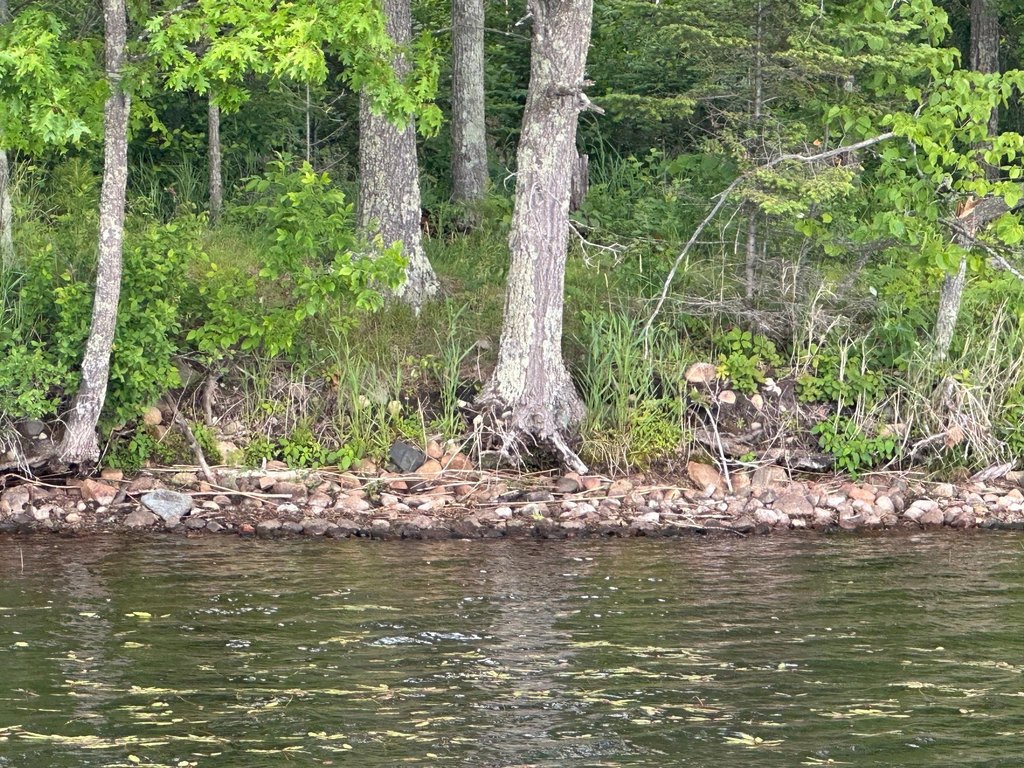 Picture 15