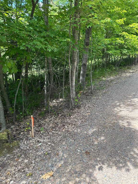 Picture 8