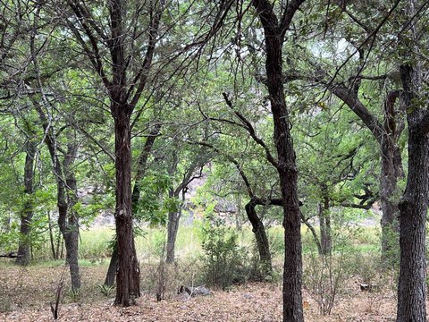 Land, Horseshoe Bay, TX