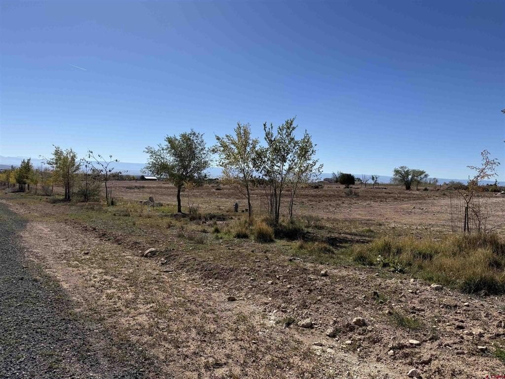 Land in Cedaredge, Colorado