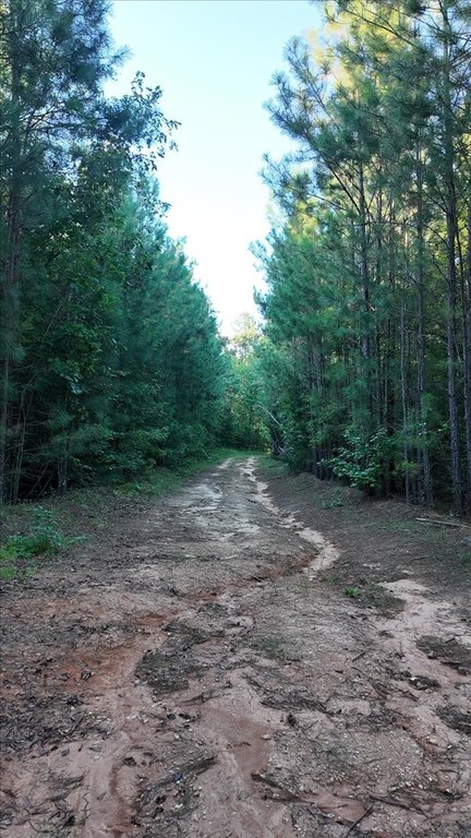 Picture 4