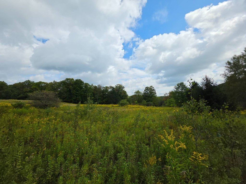 Picture 15