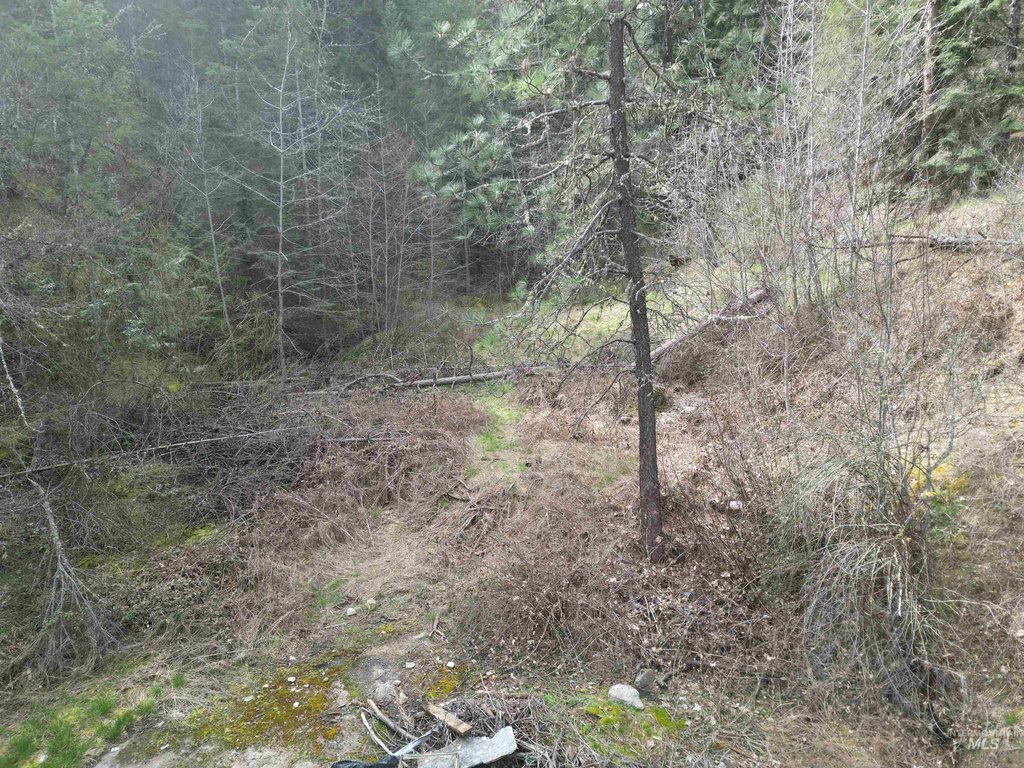 Picture 13
