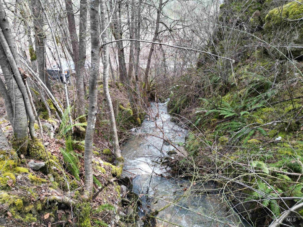Picture 18