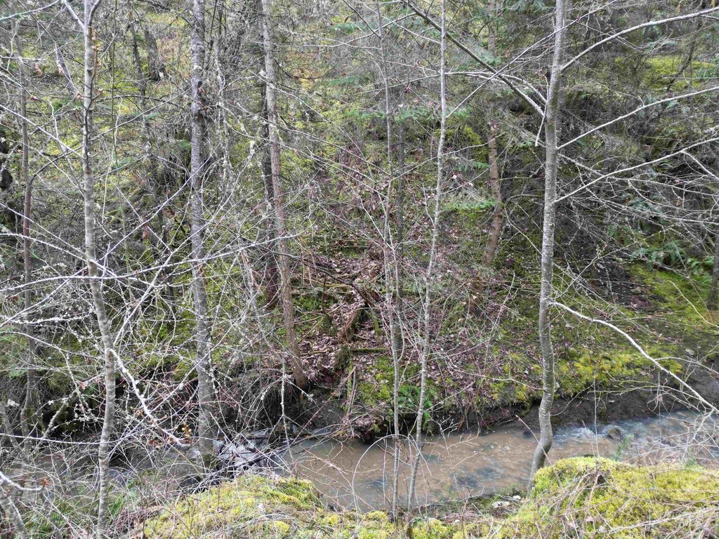 Picture 16