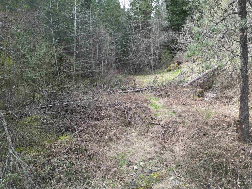 Picture 22