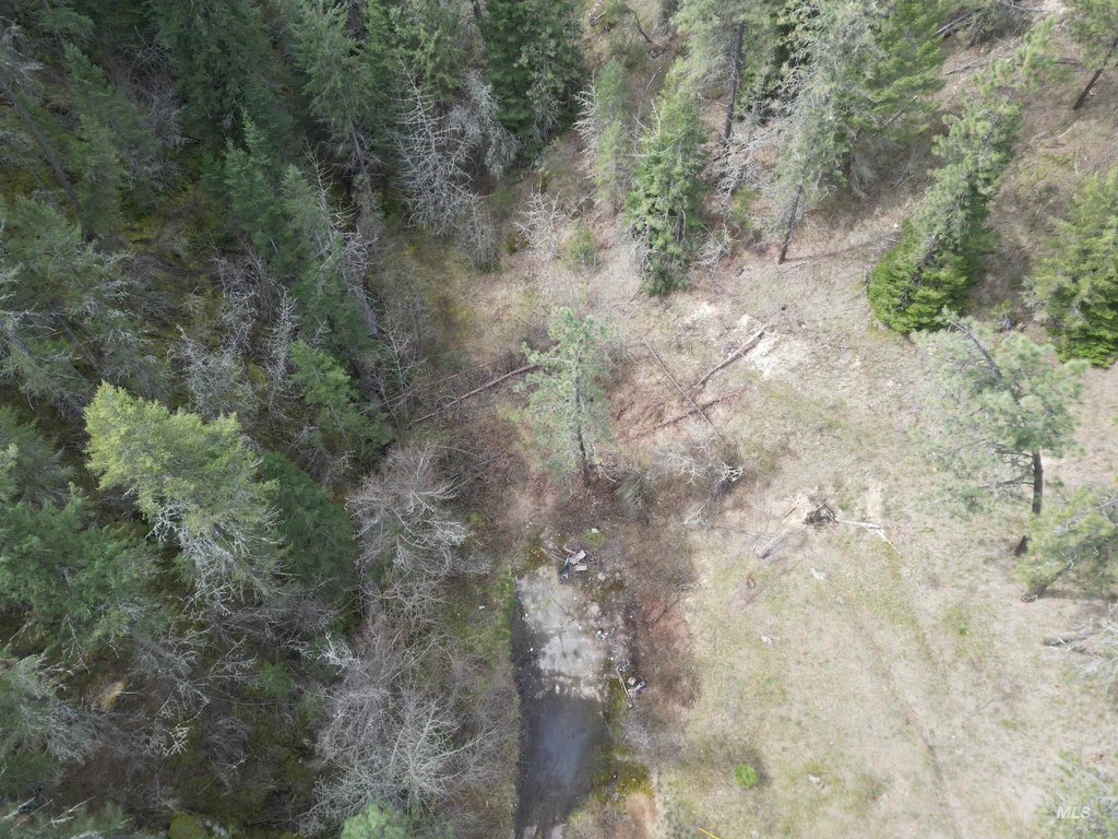 Picture 12