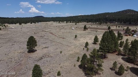 LAND - Williams, AZ
