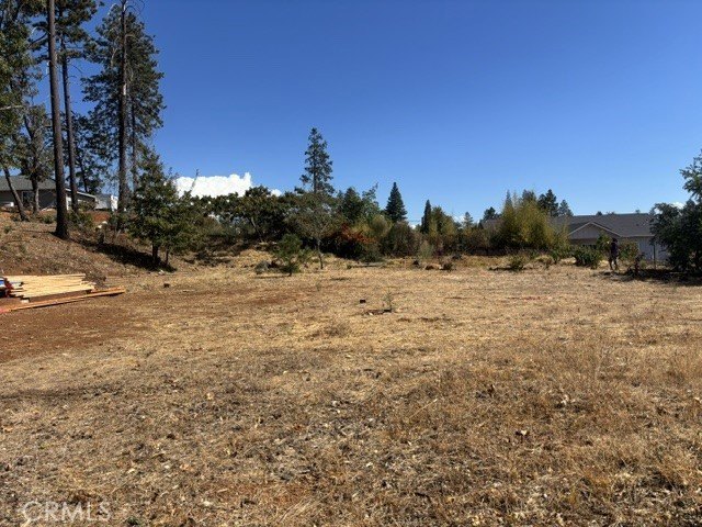 Picture 3