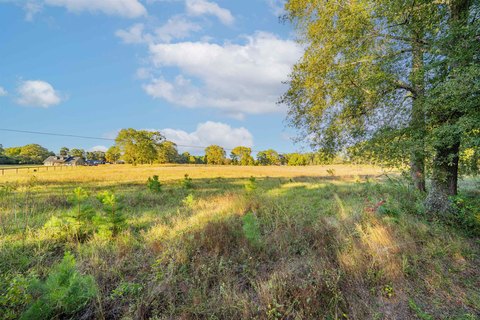Hallsville Homesite: 6.91 Acres