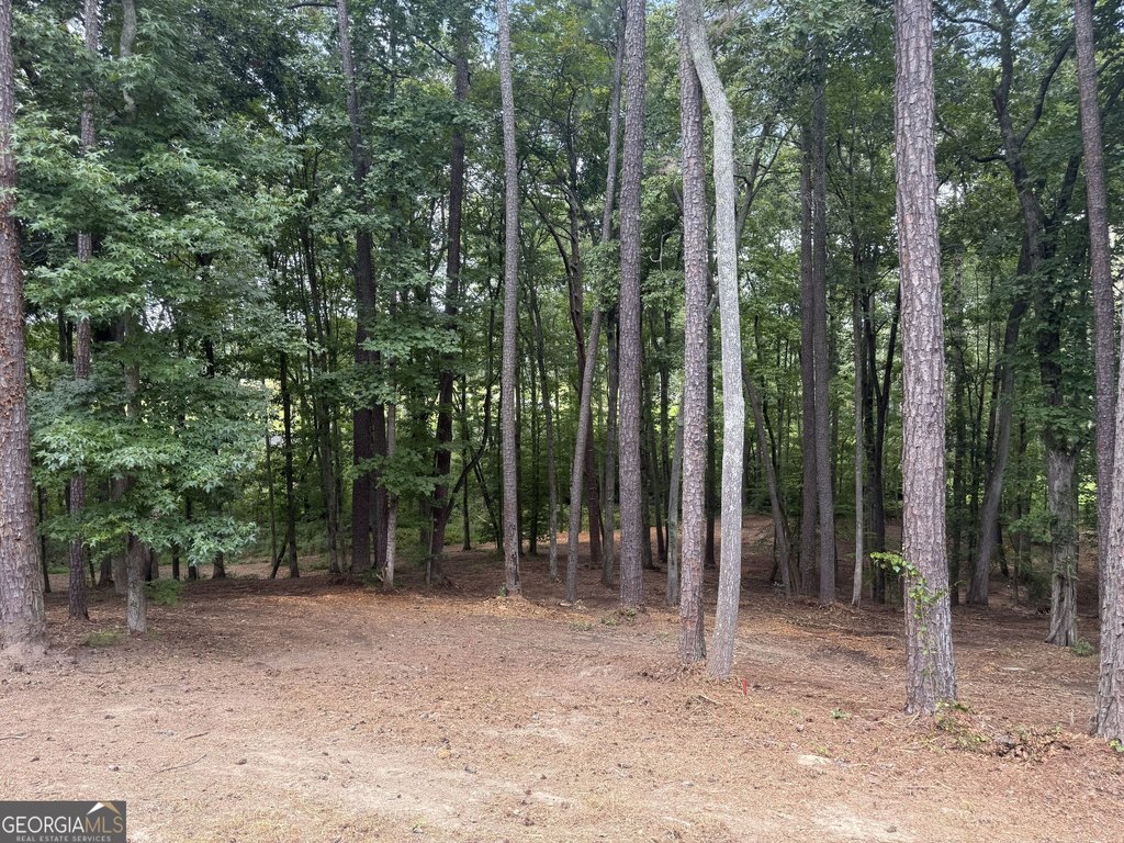 Picture 4