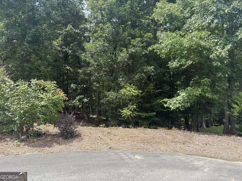 Land, Dallas, GA