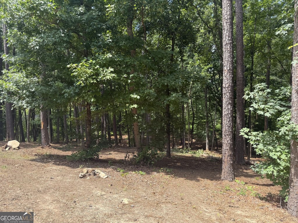 Picture 3