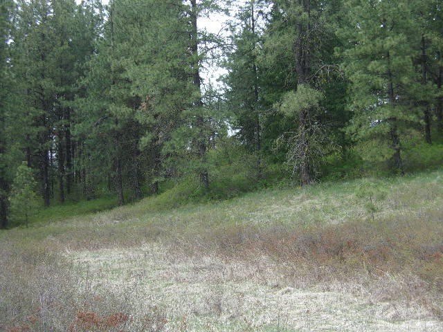Picture 22