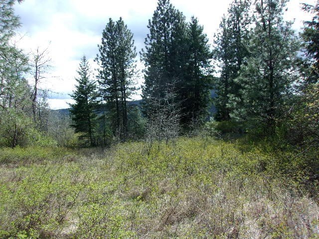 Picture 25