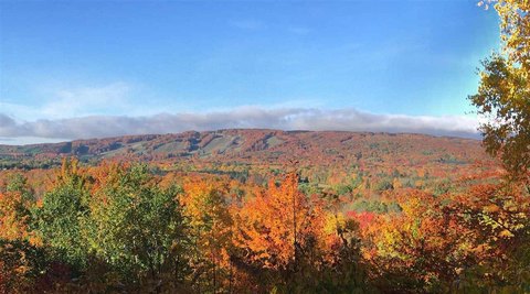 LAND - HARBOR SPRINGS, MI