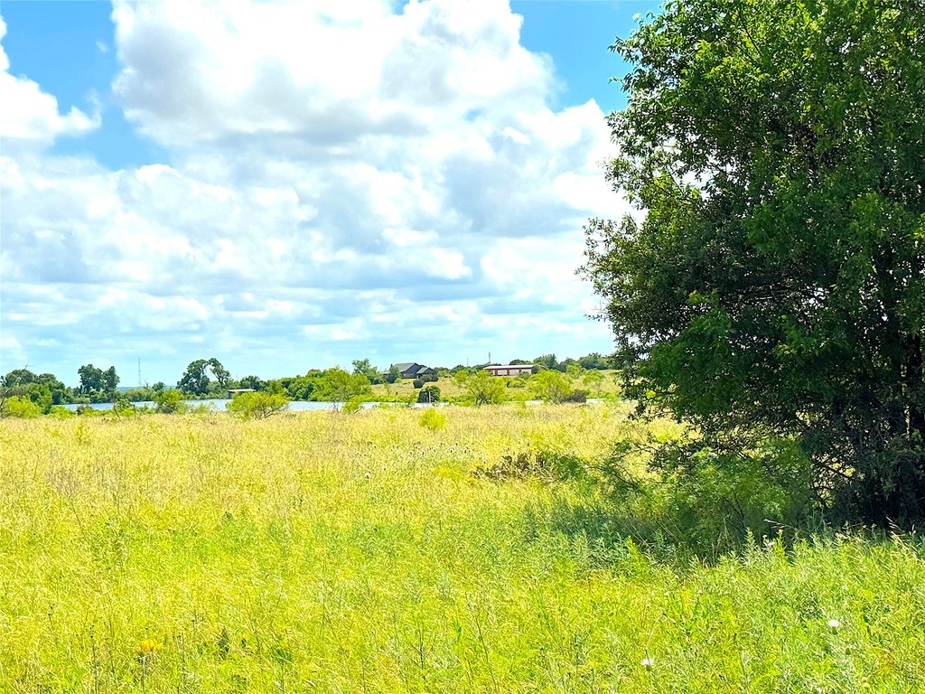 Picture 21