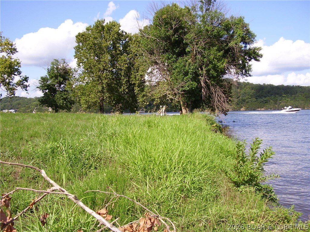 Picture 6