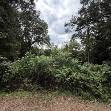 LAND, Inman, SC