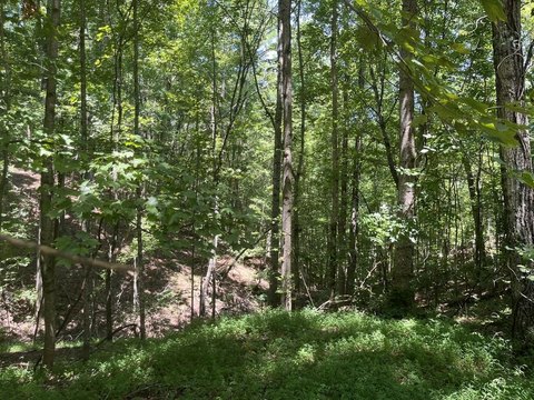 Vacant Lot, Ellijay, GA