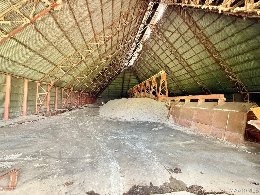 Picture 16