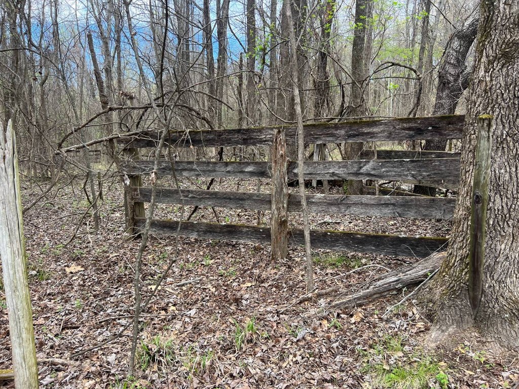 Picture 53