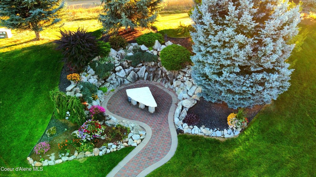 Picture 11