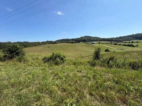 Lots and Land, Bonnieville, KY