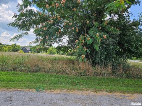 Land, West Frankfort, IL